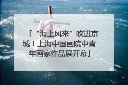 “海上风来”吹进京城！上海中国画院中青年画家作品展开幕
