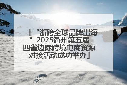“浙跨全球品牌出海”2025衢州第五届四省边际跨境电商资源对接活动成功举办