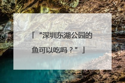 “深圳东湖公园的鱼可以吃吗？”