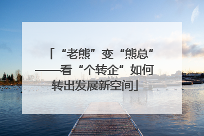 “老熊”变“熊总”——看“个转企”如何转出发展新空间