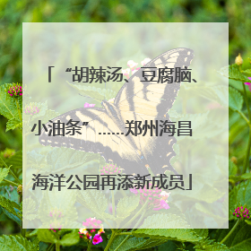 “胡辣汤、豆腐脑、小油条”……郑州海昌海洋公园再添新成员