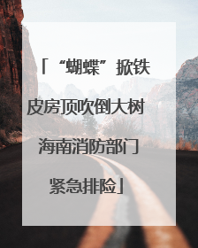 “蝴蝶”掀铁皮房顶吹倒大树 海南消防部门紧急排险