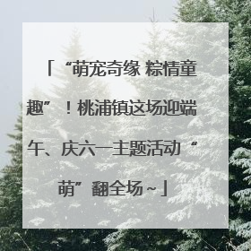 “萌宠奇缘 粽情童趣”！桃浦镇这场迎端午、庆六一主题活动“萌”翻全场～