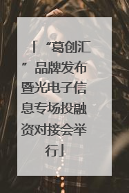 “葛创汇”品牌发布暨光电子信息专场投融资对接会举行