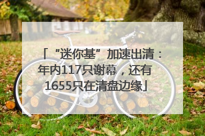 “迷你基”加速出清：年内117只谢幕，还有1655只在清盘边缘
