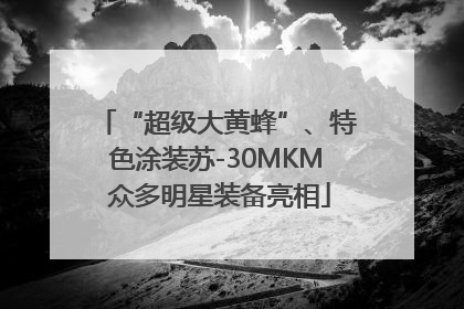 “超级大黄蜂”、特色涂装苏-30MKM 众多明星装备亮相