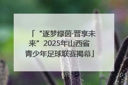“逐梦绿茵·晋享未来”2025年山西省青少年足球联赛揭幕