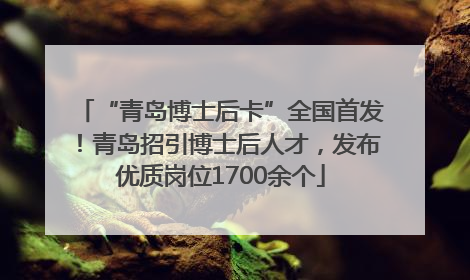 “青岛博士后卡”全国首发！青岛招引博士后人才，发布优质岗位1700余个