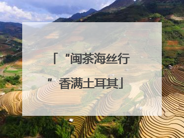 “闽茶海丝行”香满土耳其
