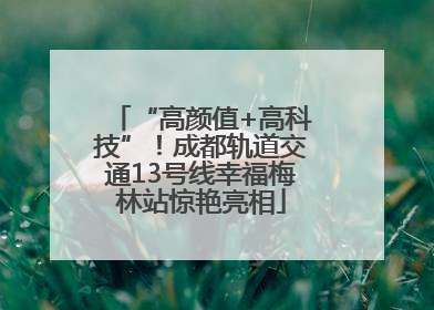 “高颜值+高科技”！成都轨道交通13号线幸福梅林站惊艳亮相