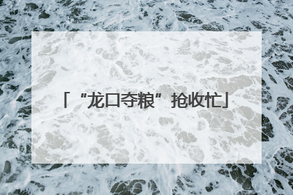 “龙口夺粮”抢收忙