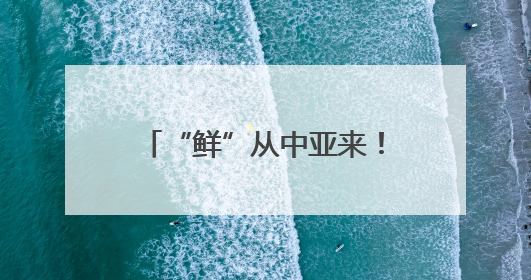 “鲜”从中亚来！浙江迎来首批乌兹别克斯坦鲜樱桃