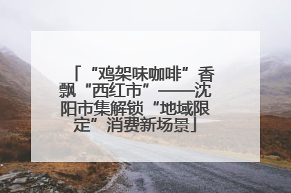 “鸡架味咖啡”香飘“西红市”——沈阳市集解锁“地域限定”消费新场景