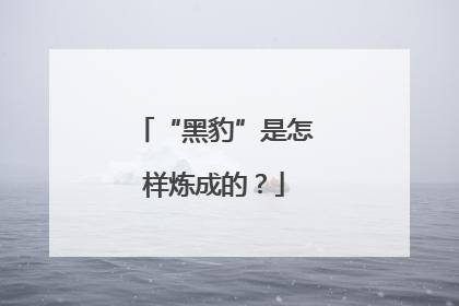 “黑豹”是怎样炼成的？