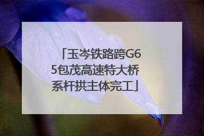 玉岑铁路跨G65包茂高速特大桥系杆拱主体完工