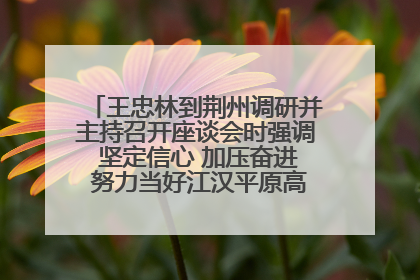 王忠林到荆州调研并主持召开座谈会时强调 坚定信心 加压奋进 努力当好江汉平原高质量发展排头兵