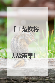 王楚钦将大战雨果