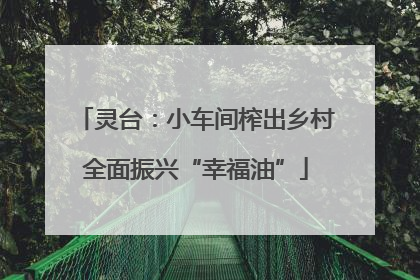 灵台：小车间榨出乡村全面振兴“幸福油”