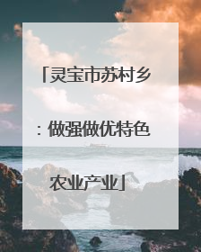 灵宝市苏村乡：做强做优特色农业产业