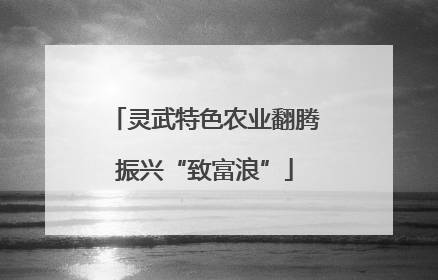 灵武特色农业翻腾振兴“致富浪”