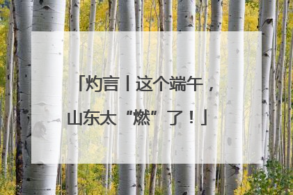 灼言丨这个端午,山东太“燃”了!