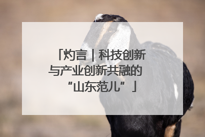 灼言｜科技创新与产业创新共融的“山东范儿”