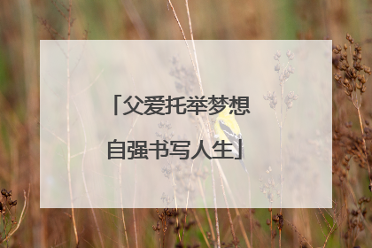 父爱托举梦想 自强书写人生