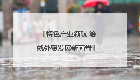 特色产业领航 绘就外贸发展新画卷