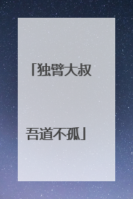 独臂大叔 吾道不孤