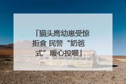 猫头鹰幼崽受惊拒食 民警“奶爸式”暖心投喂