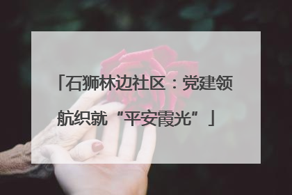 石狮林边社区：党建领航织就“平安霞光”
