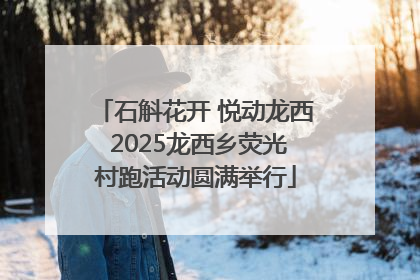 石斛花开 悦动龙西 2025龙西乡荧光村跑活动圆满举行