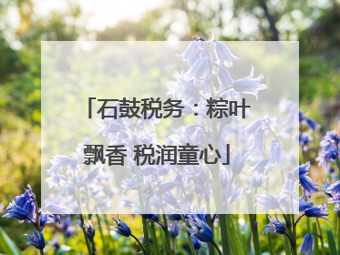 石鼓税务：粽叶飘香 税润童心