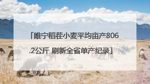 睢宁稻茬小麦平均亩产806.2公斤 刷新全省单产纪录
