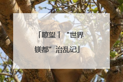 瞭望丨“世界镁都”治乱记
