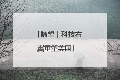 瞭望｜科技右翼重塑美国