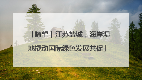 瞭望｜江苏盐城，海岸湿地撬动国际绿色发展共促