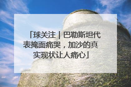 球关注｜巴勒斯坦代表掩面痛哭，加沙的真实现状让人痛心
