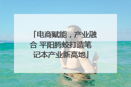 电商赋能，产业融合 平阳腾蛟打造笔记本产业新高地