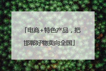 电商+特色产品，把邯郸好物卖向全国