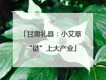 甘肃礼县：小艾草“链”上大产业