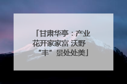 甘肃华亭：产业花开家家富 沃野“丰”景处处美