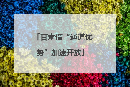甘肃借“通道优势”加速开放