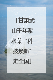 甘肃武山千年浆水菜“科技焕新”走全国