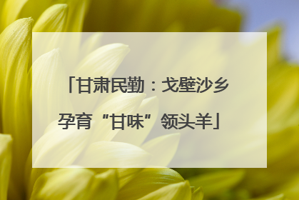 甘肃民勤：戈壁沙乡孕育“甘味”领头羊
