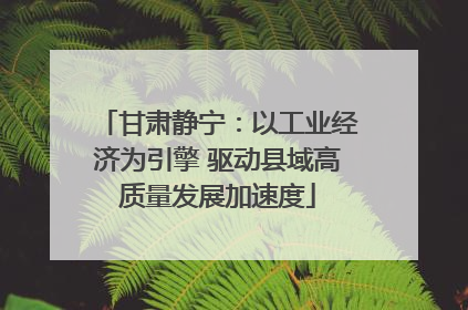 甘肃静宁：以工业经济为引擎 驱动县域高质量发展加速度