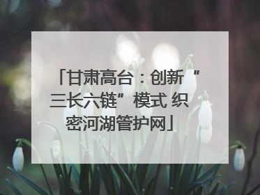 甘肃高台：创新“三长六链”模式 织密河湖管护网