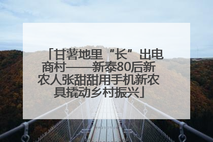 甘薯地里“长”出电商村——新泰80后新农人张甜甜用手机新农具撬动乡村振兴
