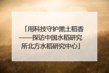 用科技守护黑土稻香——探访中国水稻研究所北方水稻研究中心