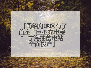 甬绍舟地区有了首座“巨型充电宝” 宁海抽蓄电站全面投产